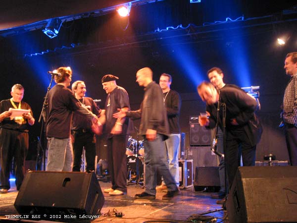 BSS0210tD50Festiblues